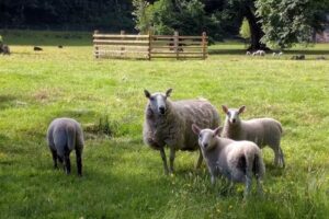 Globe Treks Tours and Cruises