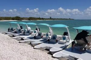 Go Cats On The Water