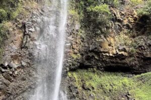 Go Kauai Tours