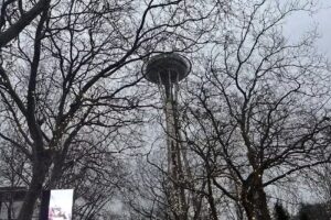 Go! Running Tours Seattle