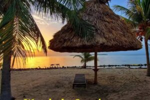 Go Seaze Travel Services