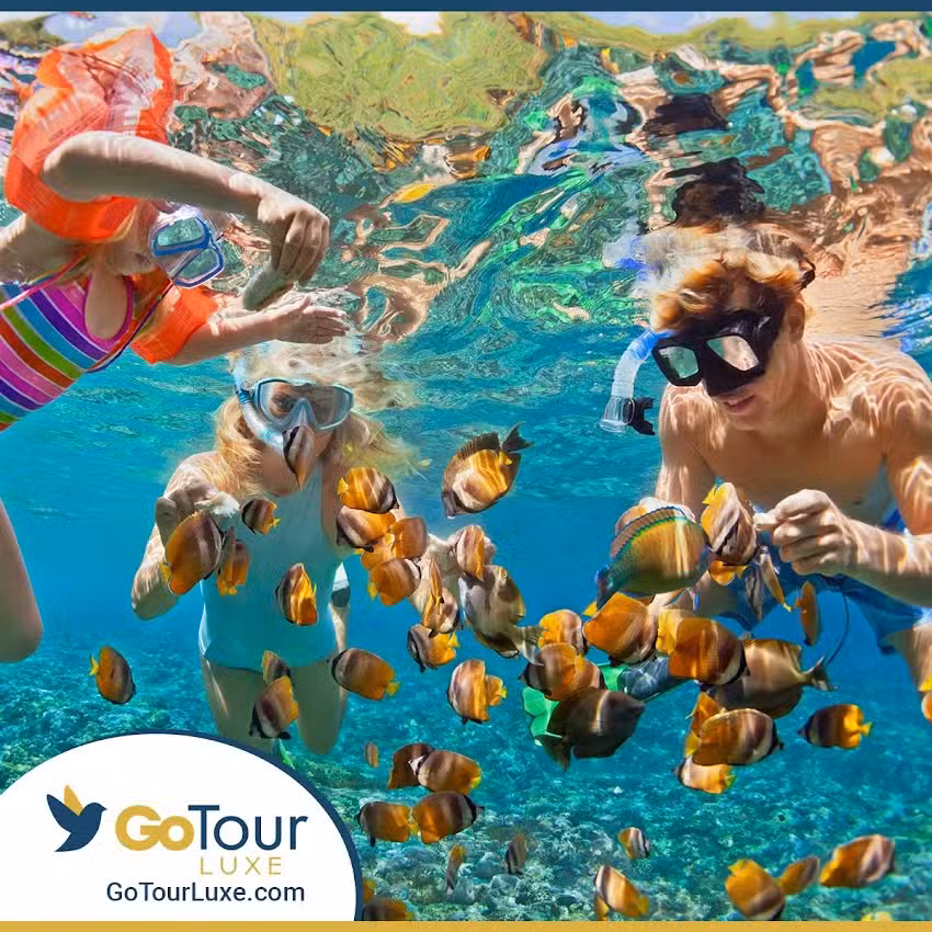 Go Tour Luxe