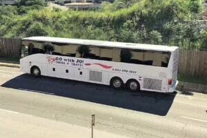 Go With Jo Tours & Travel