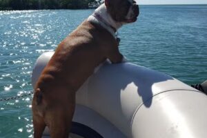 Goal Tending Services LLC & GTS Charter & Outfitters Ship Store