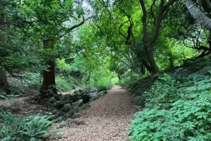 GoGo Walks SF | GoGo Traveler