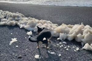 Gold Beach Visitor’s Center