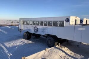 Gold Star Tours & Charters