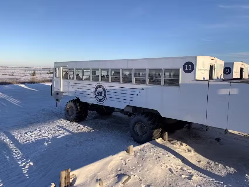 Gold Star Tours & Charters