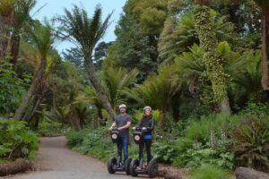 Golden Gate Park Tours
