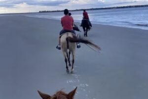 Golden Isles Carriage and Trail Rides