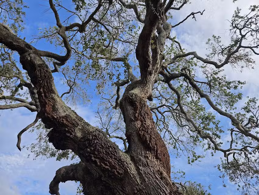 Golden Isles Welcome Center &ndash; St. Simons Island