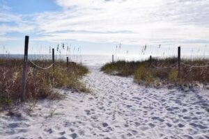 Gone Coastal Vacation Rentals