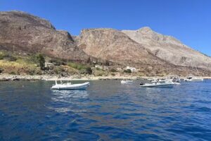 Gone Traveling Tours