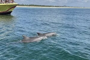 Good Jibez Only Boat Tours
