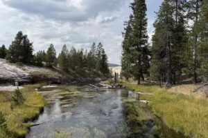 Good Trip Adventures