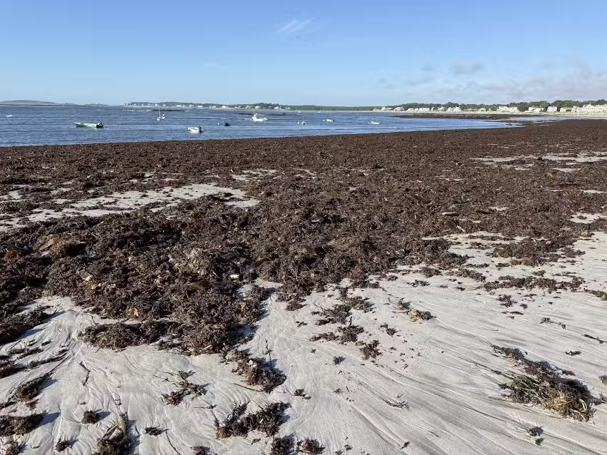 Goose Rocks Beach House