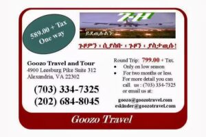 Goozo Travel and Tour Inc.