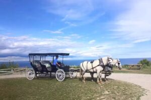 Gough Livery Carriages Inc