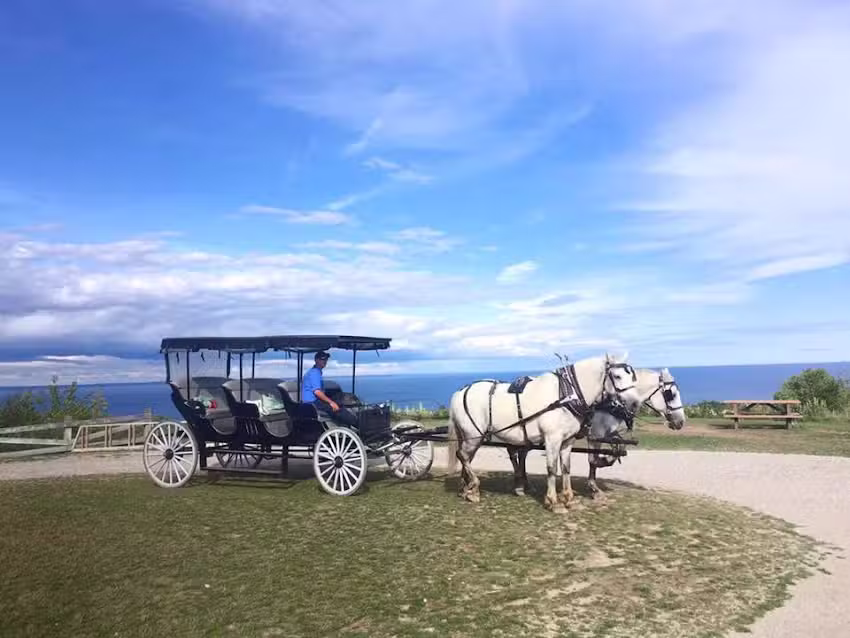 Gough Livery Carriages Inc