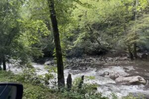 Government Vacation Rewards