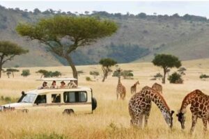 Grafton Global Travel