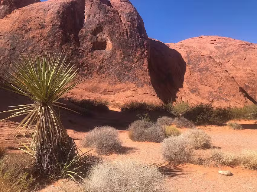 Grand Adventures Tours