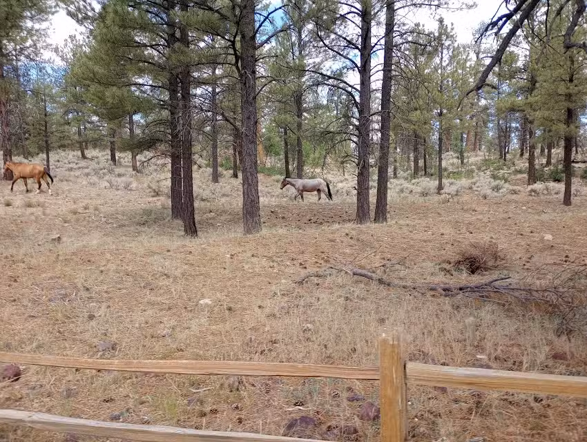 Grand Canyon IMAX Theater