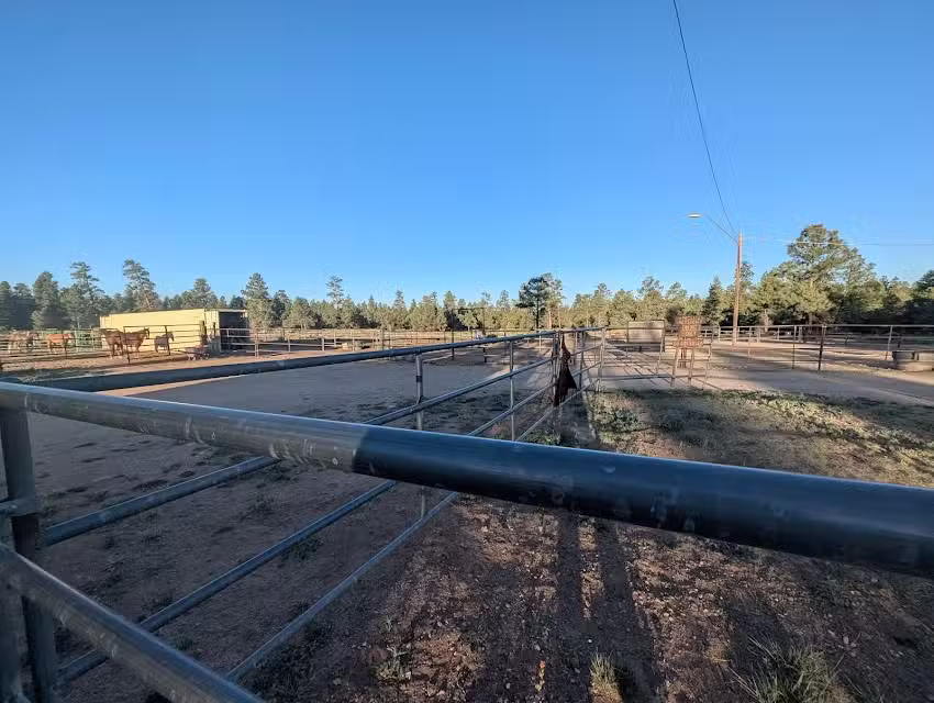 Grand Canyon Trail Rides