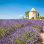 Grand European Travel