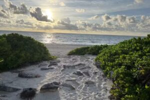 Grand Turizmo Travel, Inc.