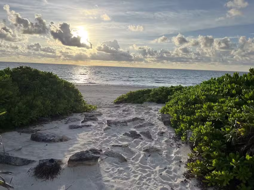 Grand Turizmo Travel, Inc.