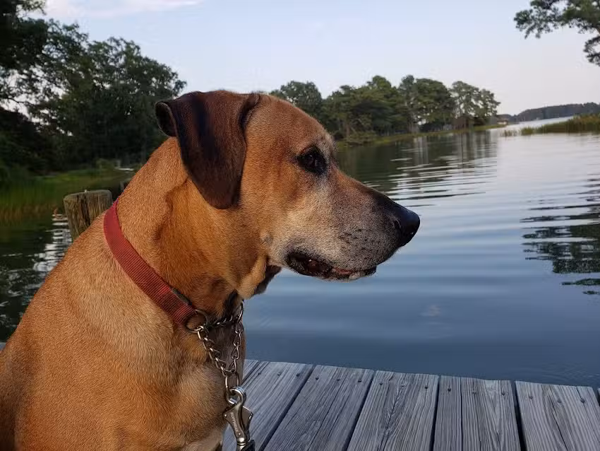 Grandview on the Bay