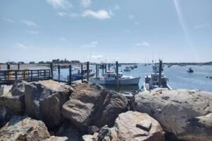 Granite State Whale Watch