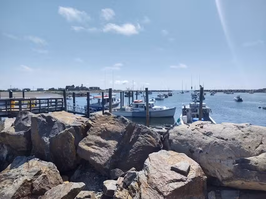 Granite State Whale Watch