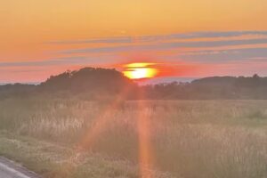 Grape Soda Travel Co