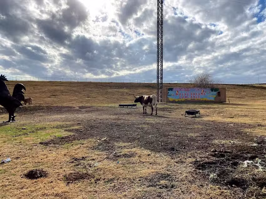 Grasshopping Through The World Travels