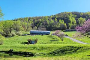Graves Mountain Farm & Lodges