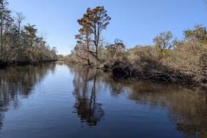 Gray Line New Orleans