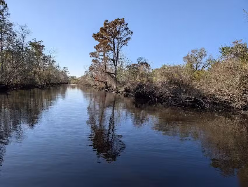 Gray Line New Orleans