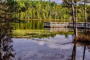 Grayling Visitors Bureau