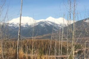 Great Bear Outfitting