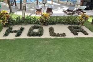 Great Sunsets Travel