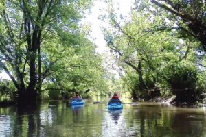 Greater Richland Tourism