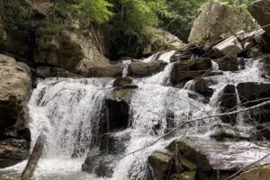 Green River Adventures – DOWNTOWN