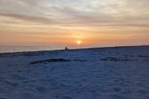 Green Tortuga Vacation Rental Home