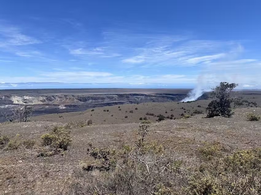 Green Travel & Tours Inc