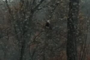 Greenbrier River Retreat LLC