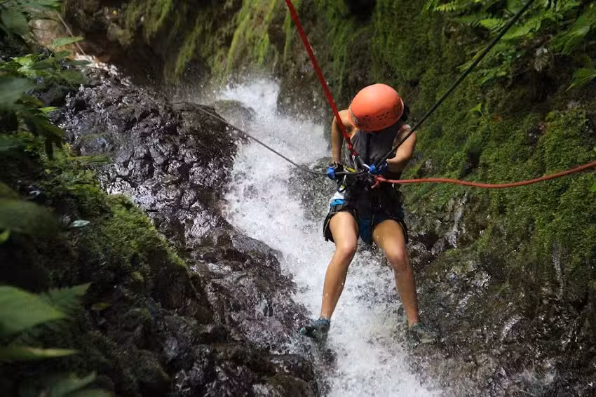 Greener Travel Co. LLC.