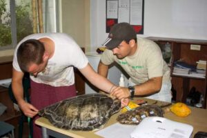 Greentrek Sustainable Travel