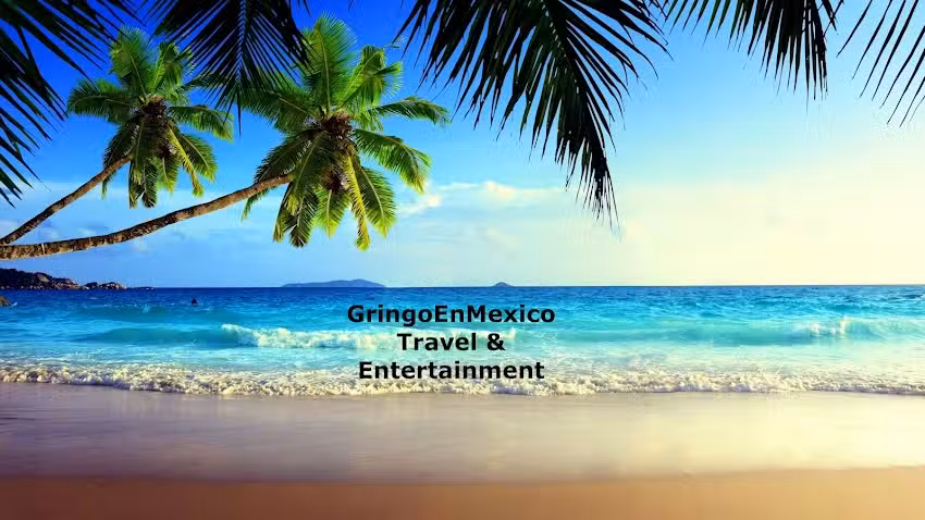 GringoEnVallarta Travel & Entertainment Agency